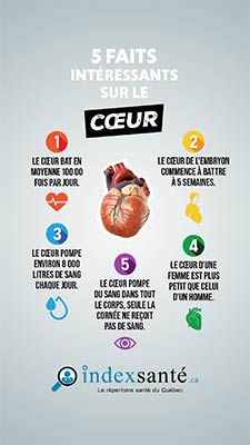 5 faits intéressants sur le cœur