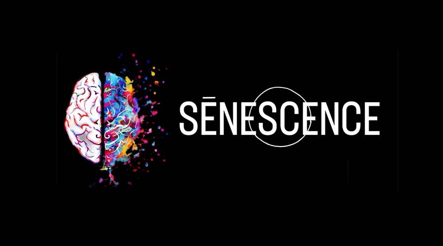 Sénescence-Services d'ergothérapie