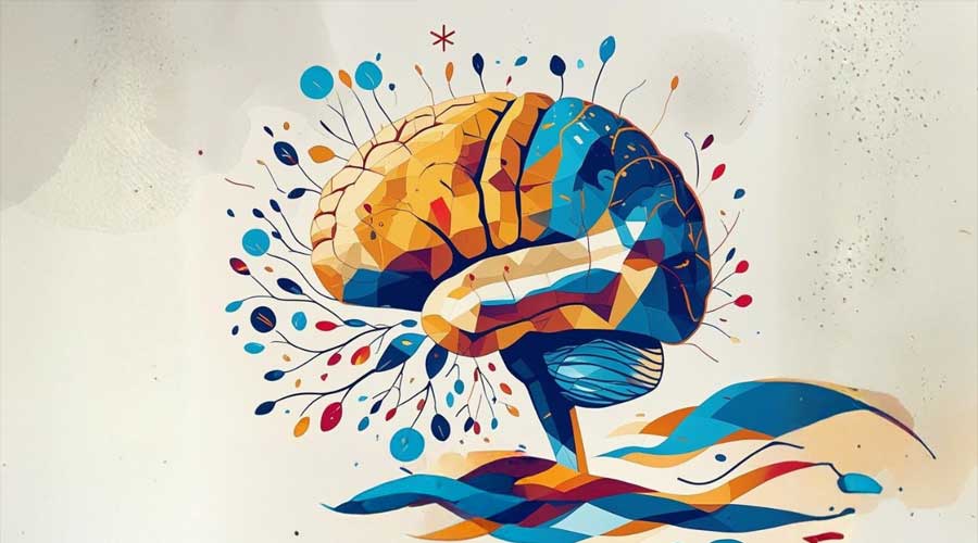 Sénescence-Services d'ergothérapie