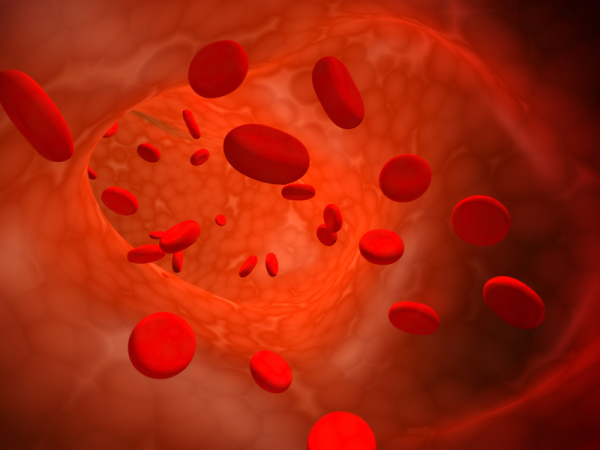 Déconfinement et saison estivale amènent un ralentissement de rendez-vous pour un don de vie