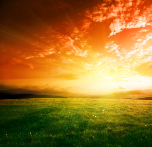 Chaleur extrême - Le ministère de la Santé et des Services sociaux rappelle les précautions à prendre