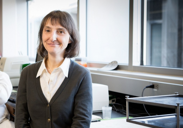 Existe-t-il des antidépresseurs moins risqués pour les femmes enceintes ?